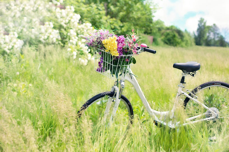 Bild på en cykel på en äng med blommor i cykelkorgen